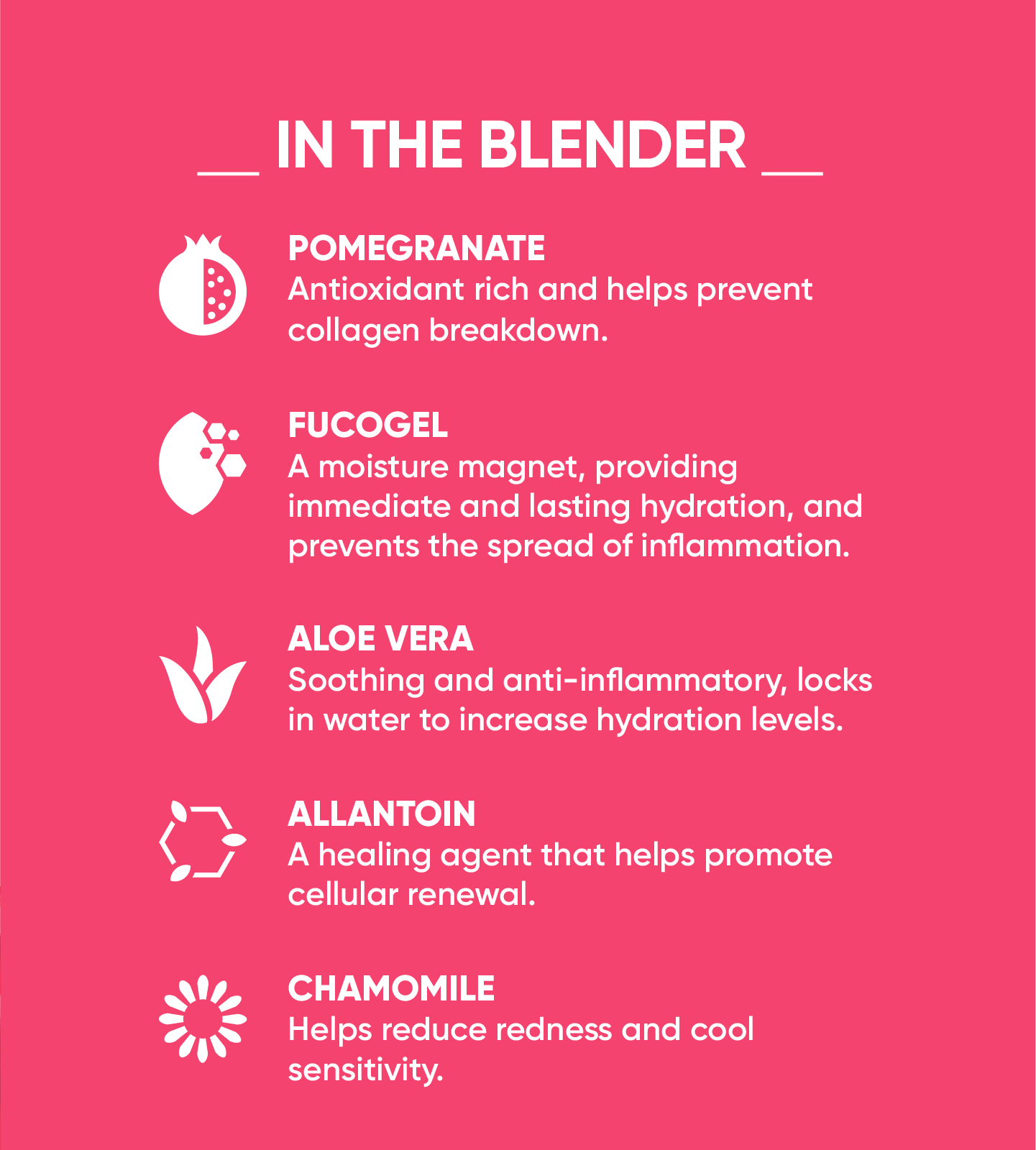 Bio Juice Mini Bundle