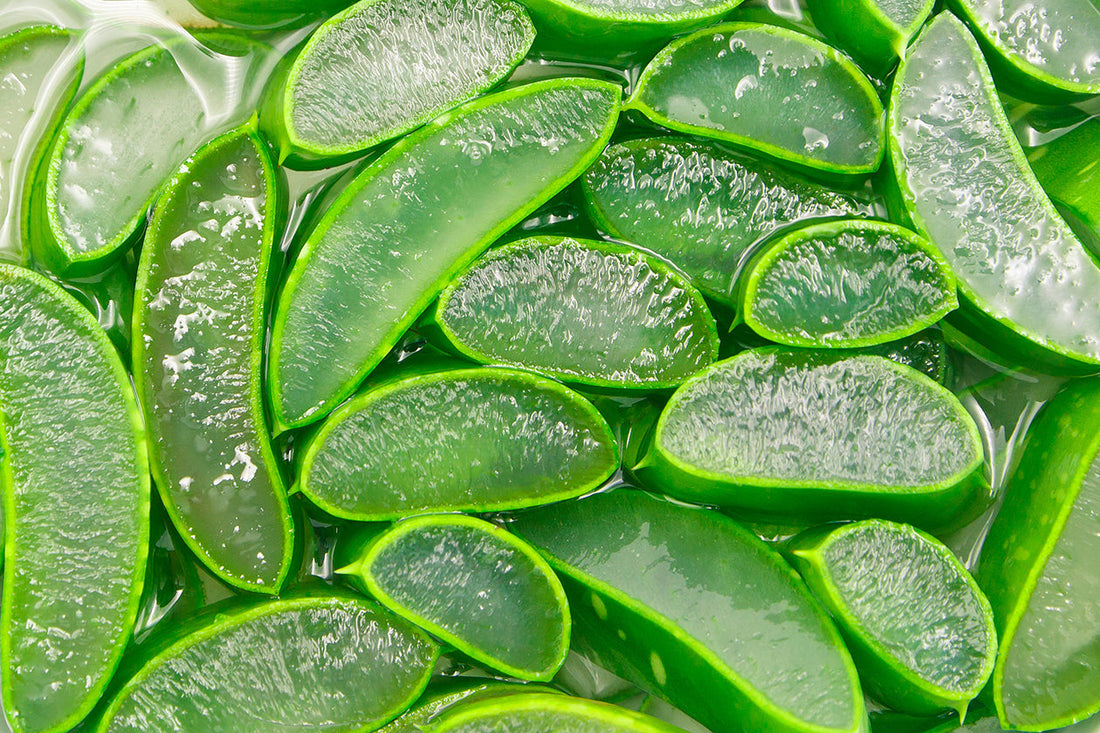 Healthy hydrators – Ingredients to quench your skin’s thirst