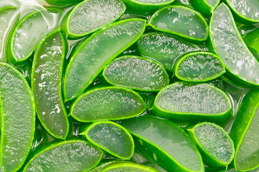 Healthy hydrators – Ingredients to quench your skin’s thirst